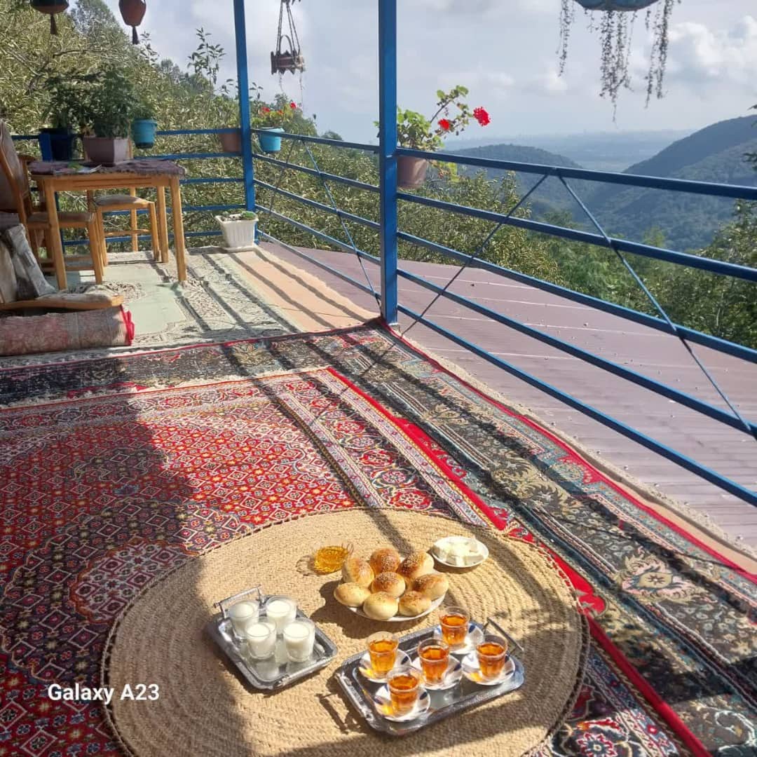 گالری تصاویر